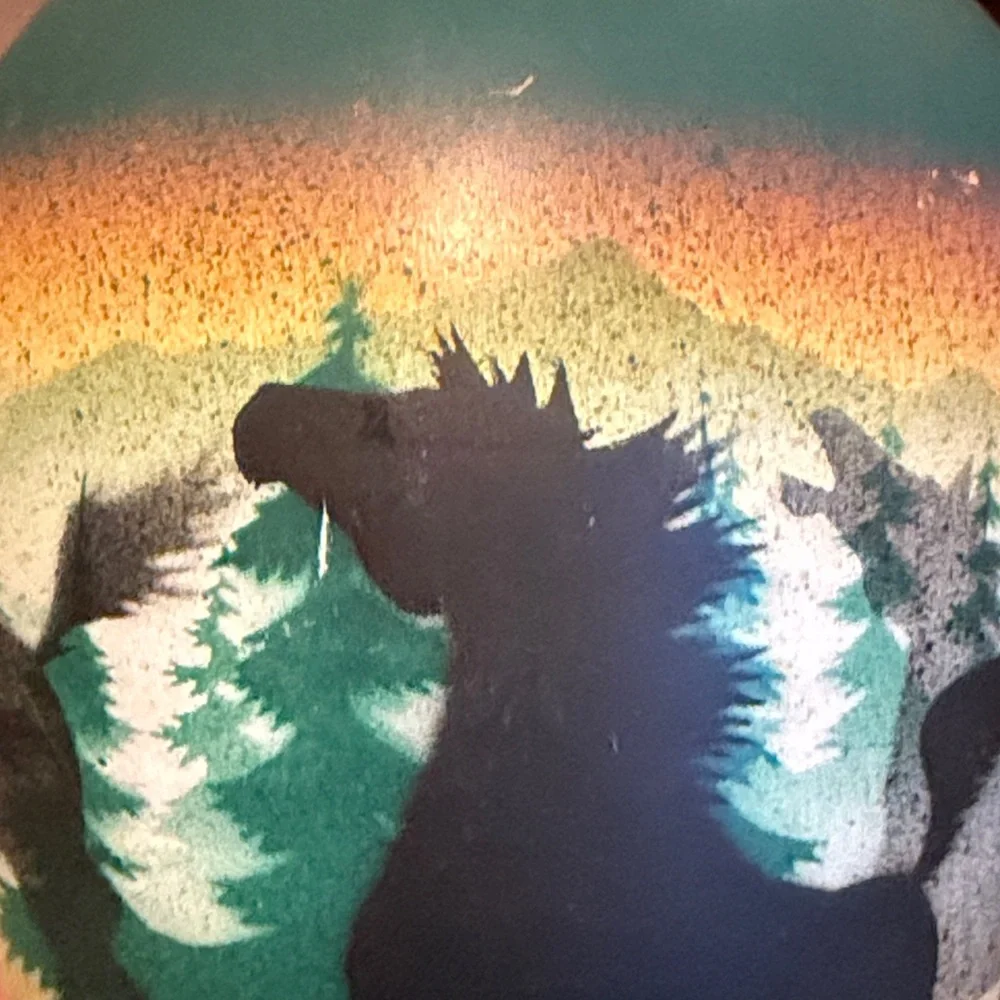 Benally Dine Signed Cedar Mesa Native American Made Pottery Wild Horses Vase